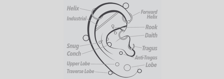 Ear Piercing Chart - Body Part/Ear Catergory