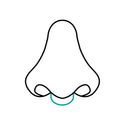 Septum