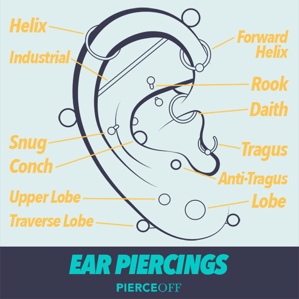 Ear Piercing Jewellery | Earrings, Ear Studs, Rings, Barbells & More ...