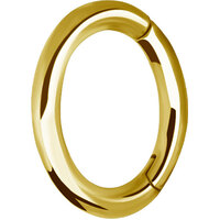 Bright Gold Oval Hinged Rook Ring : 1.2mm (16ga) x 7mm