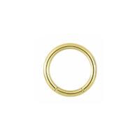 Titanium Zirconline® Smooth Segment Ring : 1.2mm (16ga) x 8mm