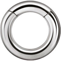 Heavy Gauge Surgical Steel Hinged Segment Ring : 2.0mm (12ga) x 10mm