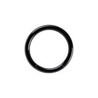 Titanium Blackline® Smooth Segment Rings : 1.2mm (16ga) x 8mm