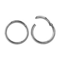 Titanium Hinged Segment Ring : 1.2mm (16ga) x 6mm
