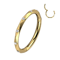 Titanium Hinged Segment Hoop Ring With Clear Gem Accented Diamond Faceted Cuts - Gold / Clear