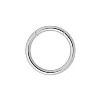 Titanium Highline® Smooth Segment Rings : 1.2mm (16ga) x 9mm x Ti-glo
