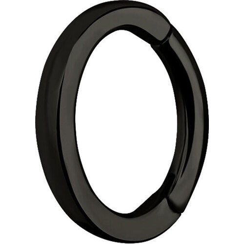 Black Steel Oval Hinged Rook Ring