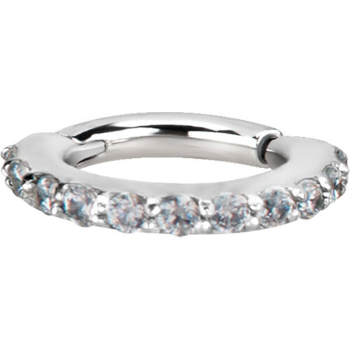 Surgical Steel Swarovski Jewelled Hinged Segment Ring