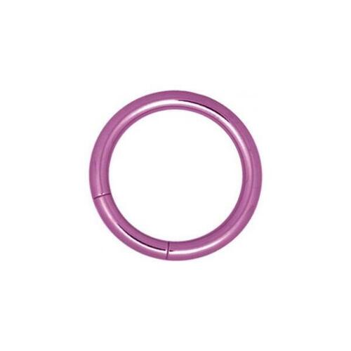 Titanium Highline® Smooth Segment Rings : 1.6mm (14ga) x 12mm x Purple