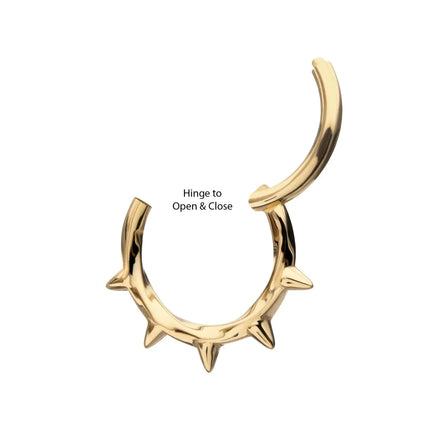 Collection image for: Spike Punk Love