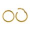 Continuous & Segment Rings