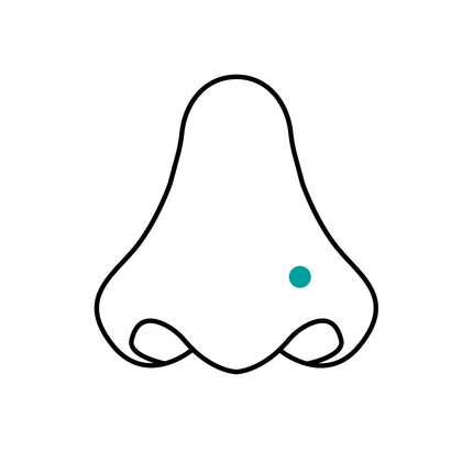 Collection image for: Nose