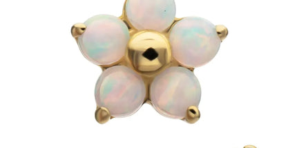 Invictus 14Kt Yellow Gold M0.8 Internally Threaded 5-Petal Opal Flower Top