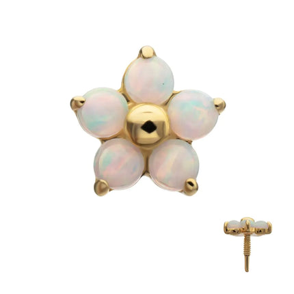 Invictus 14Kt Yellow Gold M0.8 Internally Threaded 5-Petal Opal Flower Top