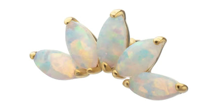 Invictus 14Kt Yellow Gold M0.8 Internally Threaded 5-Cluster Marquise Opal Fan Top