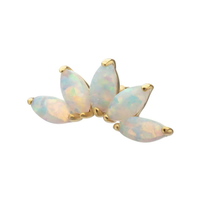 Invictus 14Kt Yellow Gold M0.8 Internally Threaded 5-Cluster Marquise Opal Fan Top