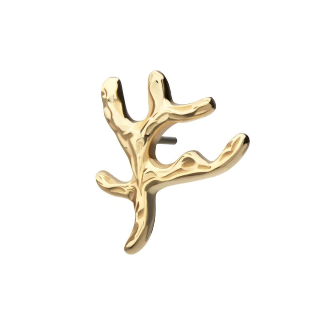 Invictus 14Kt Yellow Gold Threadless Coral Branch Top