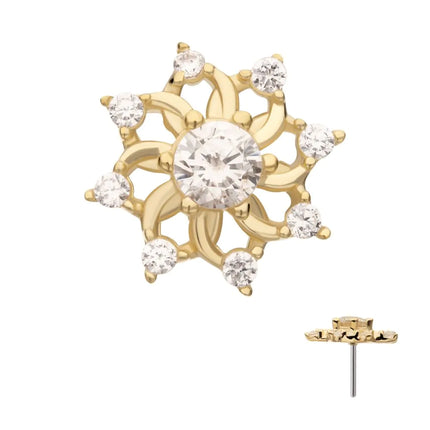 Collection image for: Flowers / Leaves