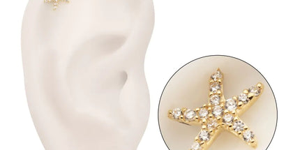 Invictus 14Kt Yellow Gold Threadless Pave Gem Starfish Top