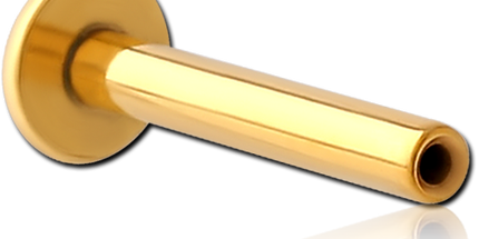 Gold PVD coated surgical steel threadless labret pin