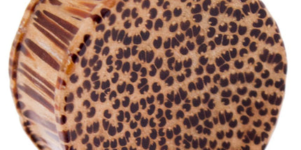 Crocodile Concave Wood Plug 2
