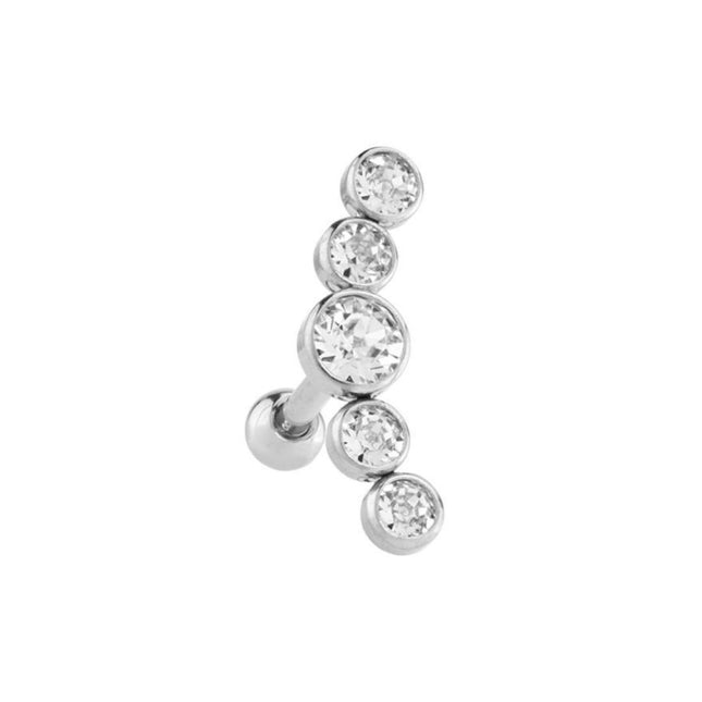 Stainless Steel Multi Disc Jewelled Barbell