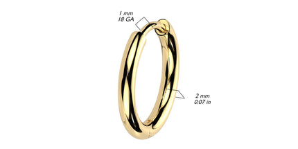 Pair Titanium 2mm Thick Hinged Plain Round Hoop Earrings