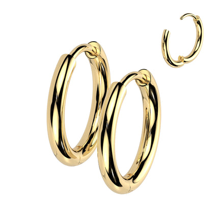 Pair Titanium 2mm Thick Hinged Plain Round Hoop Earrings