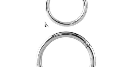 Surgical Steel Hinged Segment Ring