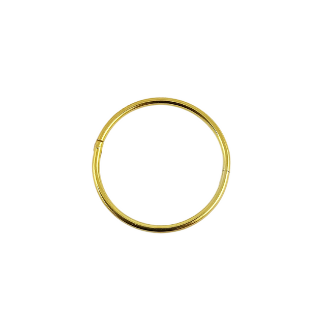 Gold Plated Hinged Sleepers