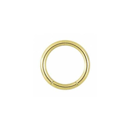 Titanium Zirconline Smooth Segment Ring