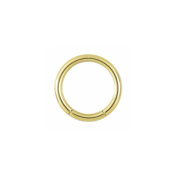 Titanium Zirconline Smooth Segment Ring