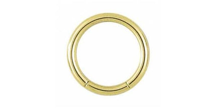 Titanium Zirconline Smooth Segment Ring