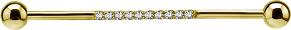 Jewel Set Industrial Bar