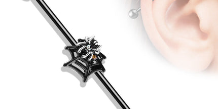 Industrial Barbell Crystal Set Spider on Web