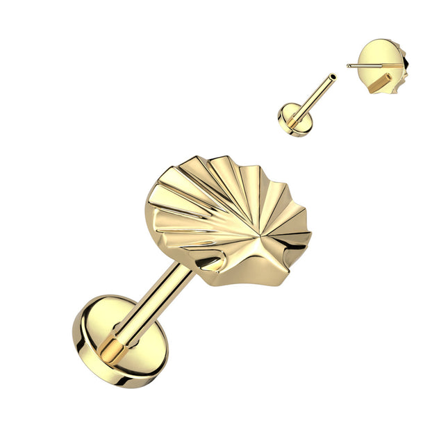 Titanium Threadless Push In Labret With Shell Top