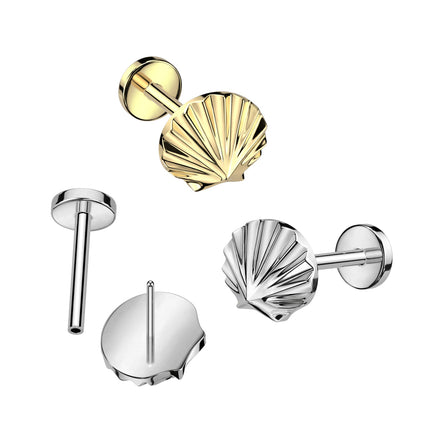 Collection image for: Ocean