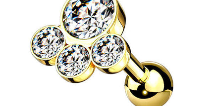Steel Multi Disc Jewelled Barbell Pawprint