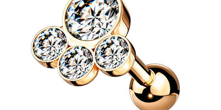 Steel Multi Disc Jewelled Barbell Pawprint