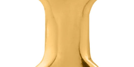 Gold PVD 316L Surgical Steel Bone Internal Attachment
