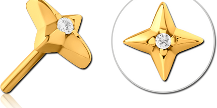 Surgical steel jewelled threadless star attachment.