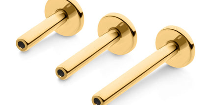 Invictus 24KT Gold PVD Titanium Threadless Labret