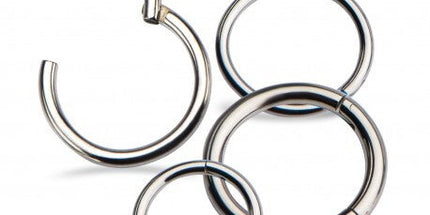 Invictus Titanium Hinged Segment Ring