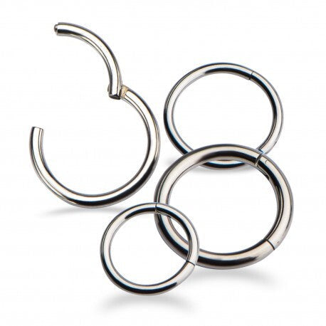 Invictus Titanium Hinged Segment Ring