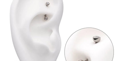 Invictus Titanium Internally Threaded Double Bezel Gem End Curved Barbell