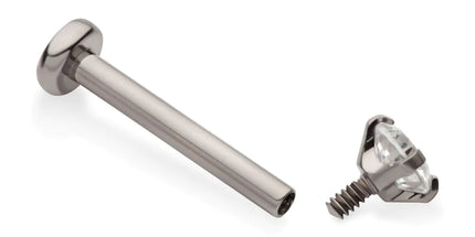 Invictus Titanium Internally Threaded Labret with Prong Set CZ Top & 2.5mm Base