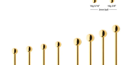 Invictus 24KT Gold PVD Titanium Internally Threaded Barbell