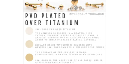 Invictus 24KT Gold PVD Titanium Internally Threaded Micro Labret Pin with 3mm Base