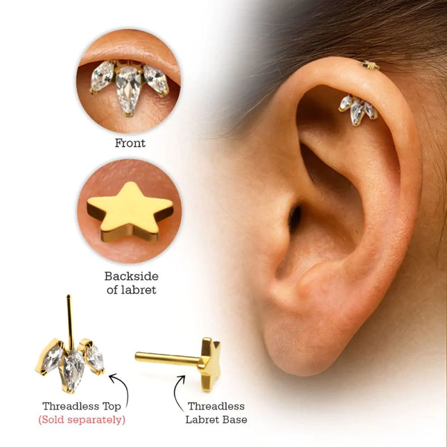 Invictus 24Kt Gold PVD Titanium Threadless Star Back Duality Labret (Base Only)