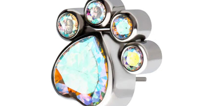 Invictus Titanium Threadless Bezel Heart & Round CZ Paw Top